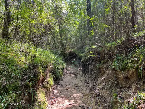 Ms-13, Morton, MS 39117 photo 29