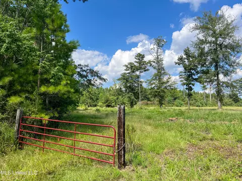 Ms-13, Morton, MS 39117 photo 3
