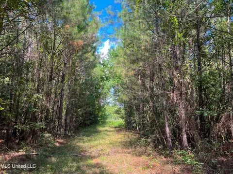 Ms-13, Morton, MS 39117 photo 15