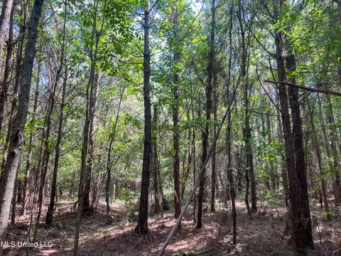 Ms-13, Morton, MS 39117 photo 31