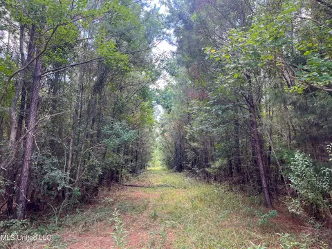 Ms-13, Morton, MS 39117 photo 35