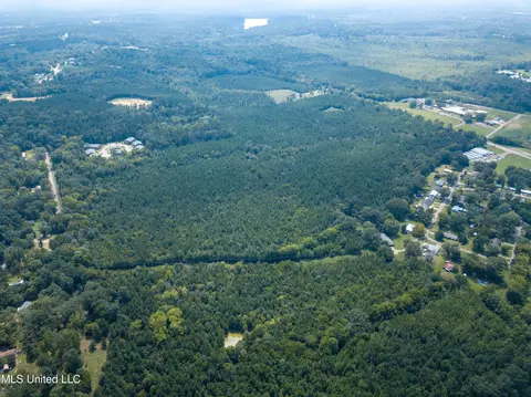 Ms-13, Morton, MS 39117 photo 13