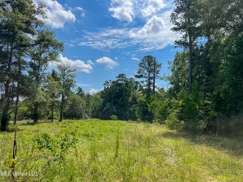 Ms-13, Morton, MS 39117 photo 10