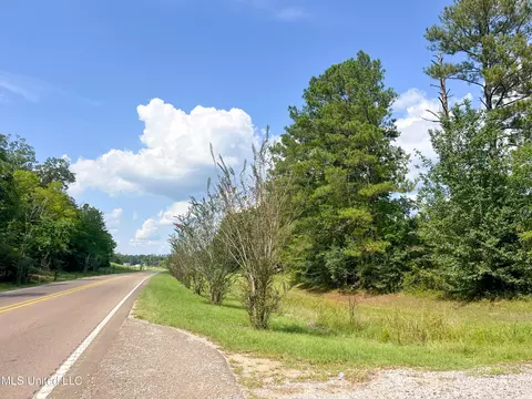 Ms-13, Morton, MS 39117 photo 40