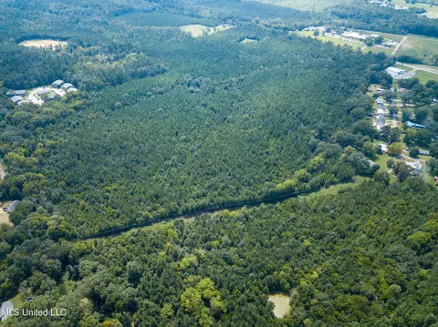 Ms-13, Morton, MS 39117 photo 14