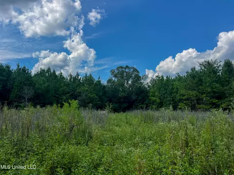 Ms-13, Morton, MS 39117 photo 34