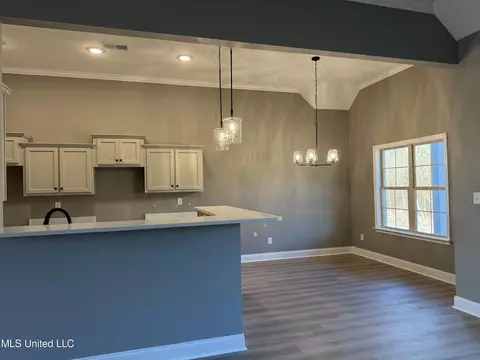 Other - 5290 Watson Vw Dr, Nesbit, MS 38651 photo 2 of 4