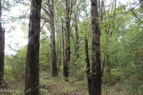 700 Spain Rd, Ecru, MS 38841 photo 22