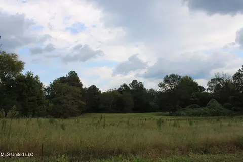700 Spain Rd, Ecru, MS 38841 photo 15