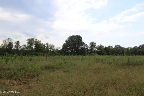 700 Spain Rd, Ecru, MS 38841 photo 21