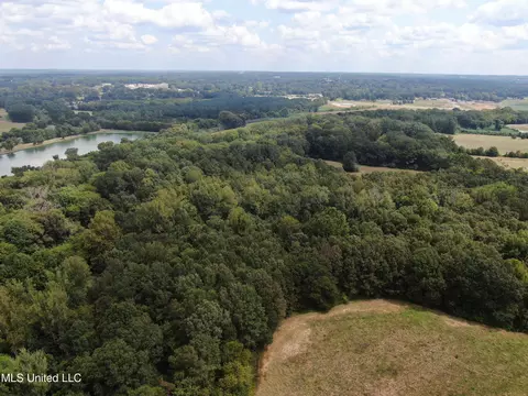 700 Spain Rd, Ecru, MS 38841 photo 7