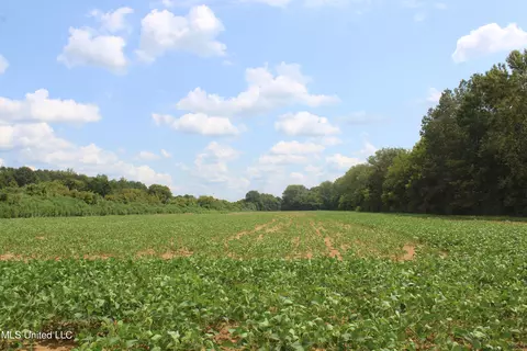 700 Spain Rd, Ecru, MS 38841 photo 12