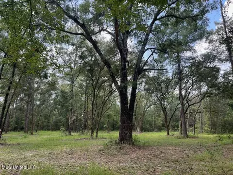 Tanner Williams Road, Lucedale, MS 39452 photo 4