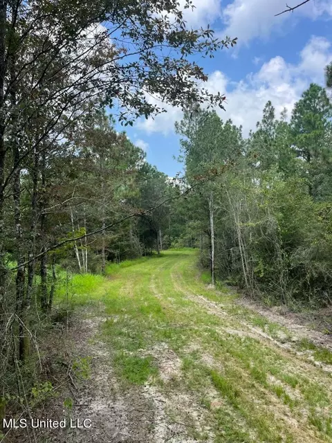 Tanner Williams Road, Lucedale, MS 39452 photo 8