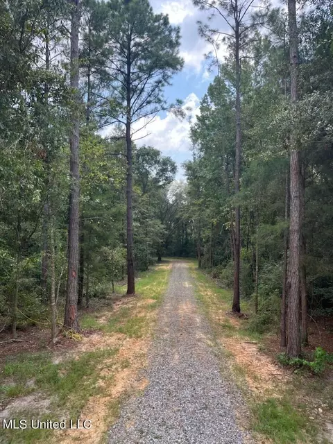 Tanner Williams Road, Lucedale, MS 39452 photo 5