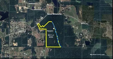 Tanner Williams Road, Lucedale, MS 39452 photo 2