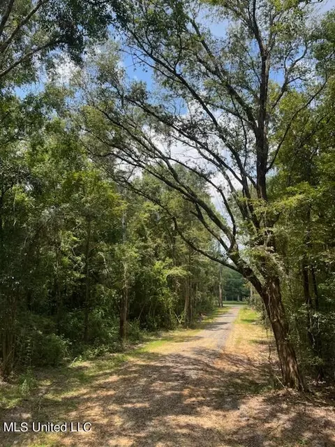 Tanner Williams Road, Lucedale, MS 39452 photo 7
