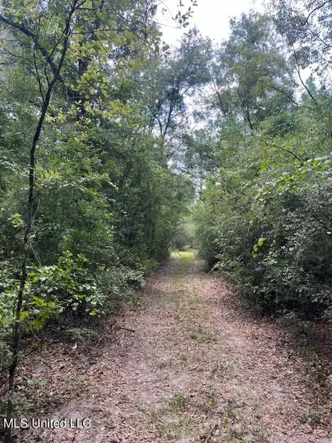 Tanner Williams Road, Lucedale, MS 39452 photo 6