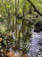 Tanner Williams Road, Lucedale, MS 39452 photo 3