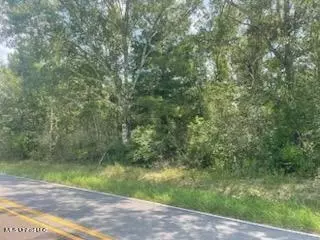 Tanner Williams Rd -parcel 8, Lucedale, MS 39452 photo 4