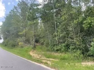 Tanner Williams Rd -parcel 8, Lucedale, MS 39452 photo 3