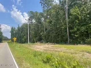 Tanner Williams Rd -parcel 8, Lucedale, MS 39452 photo 6