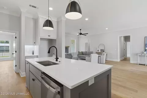 Kitchen - 218 Lizzy Ln, Brandon, MS 39047 photo 4 of 4