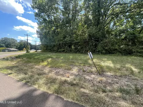 Sequoyah Drive, Hernando, MS 38632 photo 4