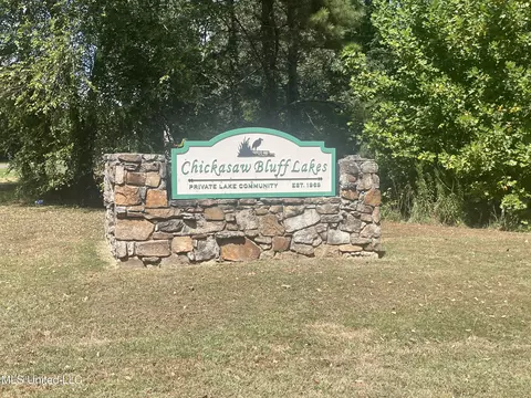 Sequoyah Drive, Hernando, MS 38632 photo 3