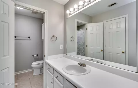 567 Mockingbird Cir, Brandon, MS 39047 photo 53