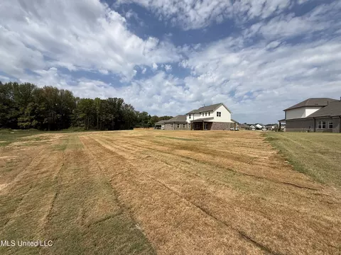809 Wells Dr, Hernando, MS 38632 photo 44