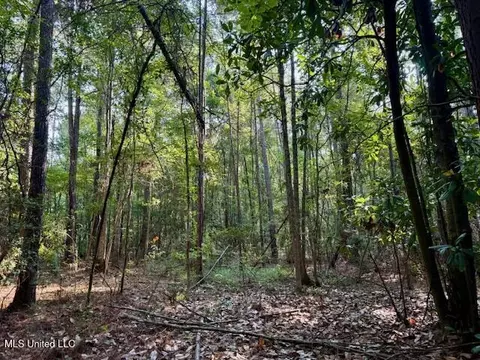 SW Goodwill Loop Loop, Brookhaven, MS 39601 photo 25