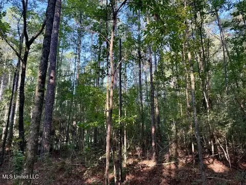 SW Goodwill Loop Loop, Brookhaven, MS 39601 photo 2