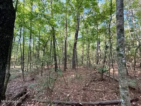 SW Goodwill Loop Loop, Brookhaven, MS 39601 photo 19