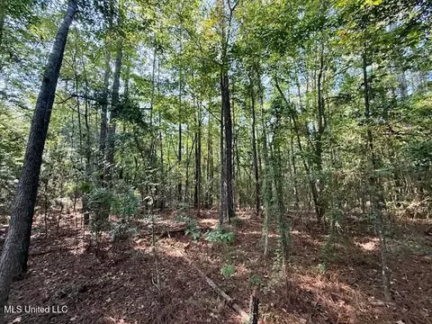 SW Goodwill Loop Loop, Brookhaven, MS 39601 photo 18
