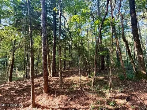 SW Goodwill Loop Loop, Brookhaven, MS 39601 photo 29