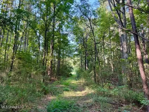 SW Goodwill Loop Loop, Brookhaven, MS 39601 photo 16