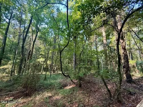 SW Goodwill Loop Loop, Brookhaven, MS 39601 photo 31