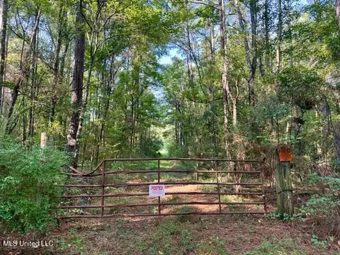 SW Goodwill Loop Loop, Brookhaven, MS 39601 photo 13