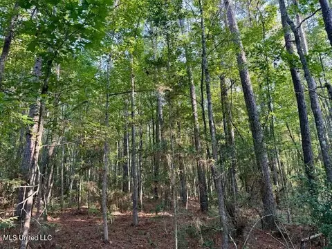 SW Goodwill Loop Loop, Brookhaven, MS 39601 photo 7