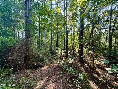 SW Goodwill Loop Loop, Brookhaven, MS 39601 photo 5