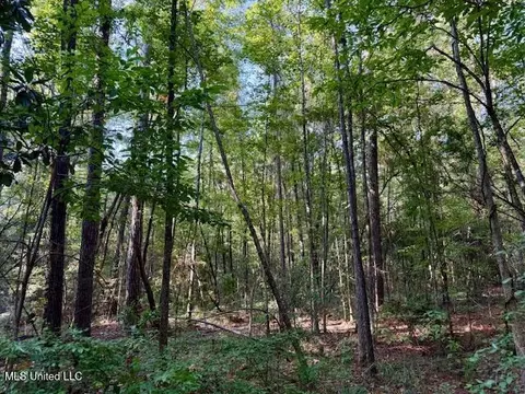 SW Goodwill Loop Loop, Brookhaven, MS 39601 photo 22