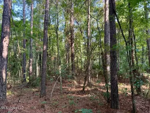 SW Goodwill Loop Loop, Brookhaven, MS 39601 photo 15