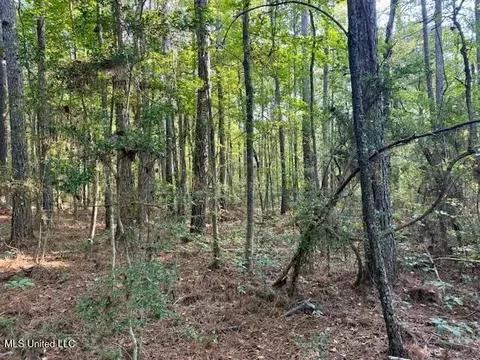 SW Goodwill Loop Loop, Brookhaven, MS 39601