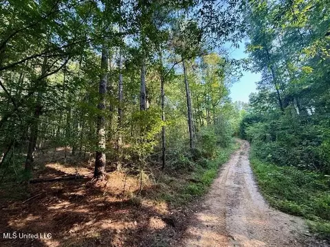 SW Goodwill Loop Loop, Brookhaven, MS 39601 photo 4