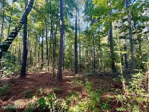 SW Goodwill Loop Loop, Brookhaven, MS 39601 photo 33