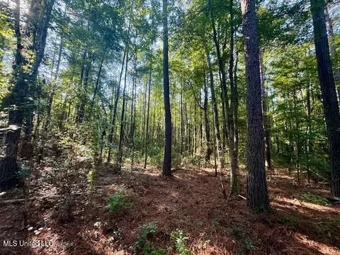 SW Goodwill Loop Loop, Brookhaven, MS 39601 photo 34