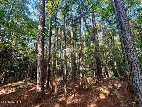 SW Goodwill Loop Loop, Brookhaven, MS 39601 photo 28