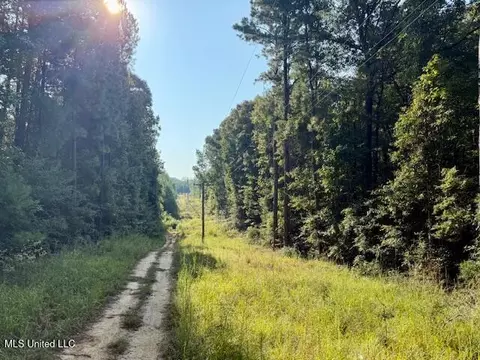 SW Goodwill Loop Loop, Brookhaven, MS 39601 photo 20