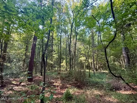 SW Goodwill Loop Loop, Brookhaven, MS 39601 photo 30